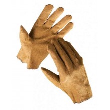 Vinylové rukavice EGRET
